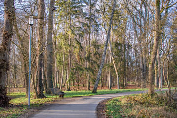 Obraz premium autumn park with yellow trees and yellow grass in ingolstadt city bavaria germany 