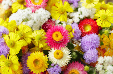 bouquet of summer flowers as background