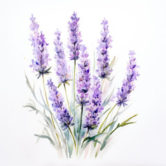 Watercolor lavender . Generative Ai