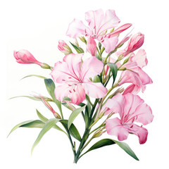 Obraz premium Watercolor oleander . Generative Ai