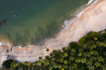 Awesome view of beach waves with coconut trees from above, Drone view of Kerala beach, Kerala...