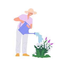 Happy old senior retired woman cartoon character watering flower from can sprayer doing garden work