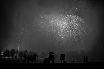 Black and white picture of fireworks in the night sky, in the park, with group of people on the background.