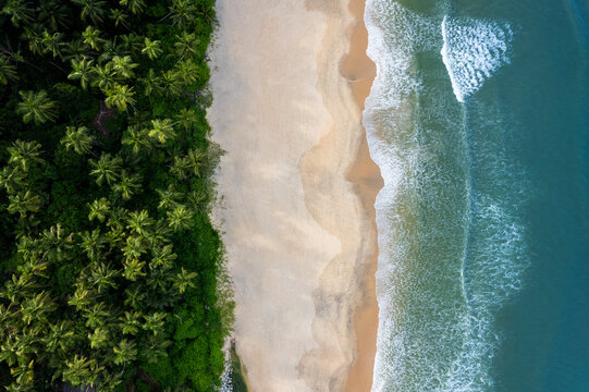 Aerial beach scenery from Kerala, Beautiful blue waves with coconut trees, tropical beach landscape