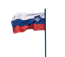 Slovenia flag waving