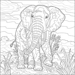 Big elephant on safari. Plants. Coloring book for adults, black and white vector illustration. Line art.