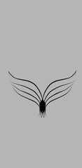 butterfly wings vector art new background