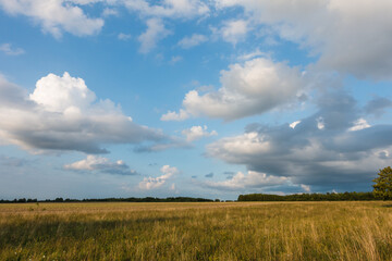 Naturschutzgebiet Hannower Kronsberg
Hannover Kronsberg nature reserve