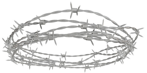 metal headband in which is created from barbed wire.	