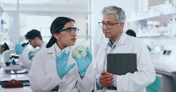 Science, bacteria and professor with scientist for research discussion in education laboratory. Medical internship, sample and woman researcher with student for genes dna discovery with biotechnology
