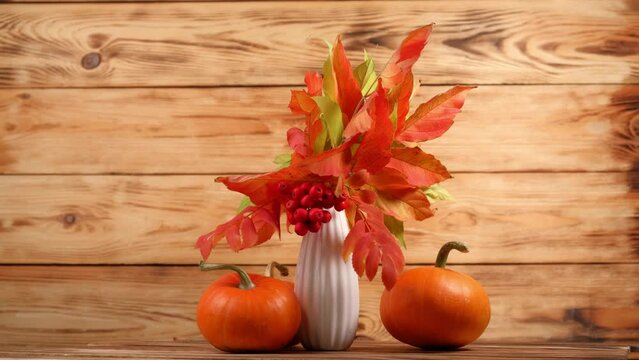 close up bouquet of autumn leaves and rowan berries in a white vase on the table rotates against the background of a wooden wall with pumpkins. thanksgiving day.