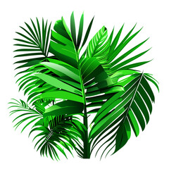 Green palm leaves isolated on white background. Realistic 