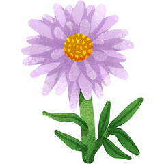 Aster chalk style 