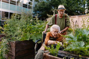 Portrait of senior friends taking care of vegetable plants in urban garden.
