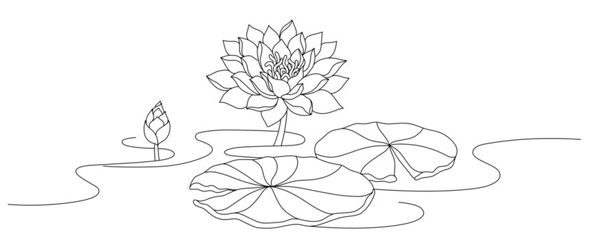 recommend clip art: Lotus flower line art style	
                    