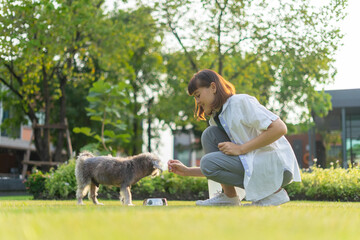 Pet care worker dog eat food on lawn at park. Happy woman playing and feeding snack or feed her dog on the grass. Female veterinarian treating sick dog by letting relax outdoors.