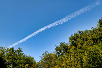 Vortex smoke trail from a jet aircraft flying low over a forest canopy
