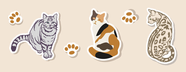 Cat ,stickers, cats, sticker ,set, fluffy cat, striped cat , animals, doodle, ginger cat, drawings