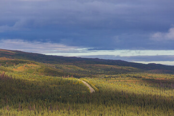 Tundra in Canada