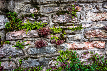 2023 06 04 SanZenodiMontagna wall