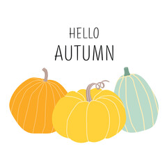 Hello autumn card with different pumpkins. Hand drawn pumpkins on white background. Vector harvest, autumn design element for poster, banner, badge, label, print, card