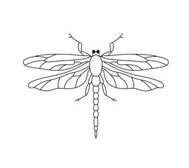 Vector isolated one single symmetrical dragonfly with four wings top view colorless black and white contour line easy drawing