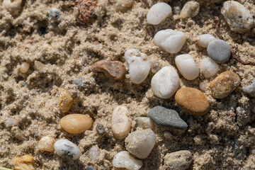 Tiny pebbles on the sand.