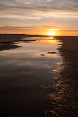 Obraz premium Beach in Skagen Denmark