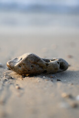 Fototapeta na wymiar hag stone on beach