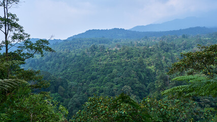 Fresh natural mountains to look at during the day