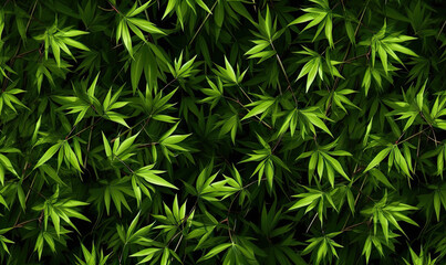 Forest bamboo background. Leaves green wallpaper. For banner postcard, book illustration.