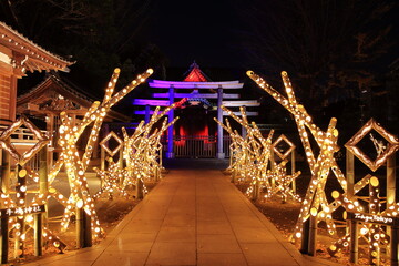 東京都墨田公園に有る牛嶋神社のイルミネーション