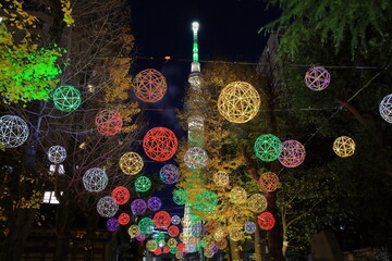東京スカイツリーと牛嶋神社のイルミネーション