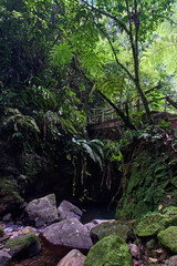 Exotic mossy natural river rocks