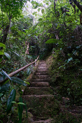 Road track that climbs toward the mountains