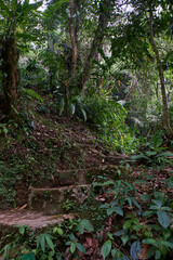 Road track that climbs toward the mountains