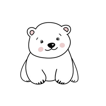 Polar bear, illustration 