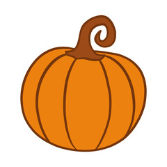 Pumpkin Illustration