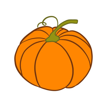 Cute Pumpkin Illustration