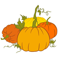 Cute Pumpkin With Green Leaves Drawing