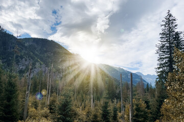 Mountain range in sun rays landscape. Rocky mountains and woodland scenic nature wallpaper.