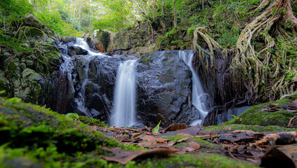 Fototapeta premium A small waterfall in the middle of a forest, on a mountain, in a fertile area. Bright green forest and clean water