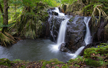 A small waterfall in the middle of a forest, on a mountain, in a fertile area. Bright green forest and clean water