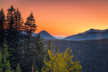 Vibrant colors in Mount Rainier National Park at sunset