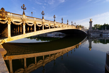 Alexandre III bridge in the 8th arrondissement of Paris city - obrazy, fototapety, plakaty