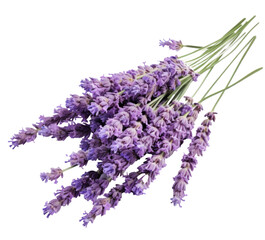 bouquet of purple lavender flowers, png file of isolated cutout object on transparent background.