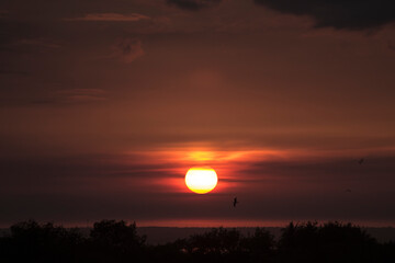 SUNSET OF DAY