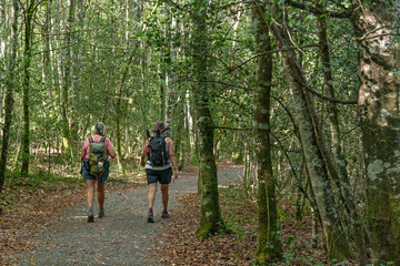 Obraz premium Adult women walking on the Way of St. James. Roncesvalles-Zubiri Stage