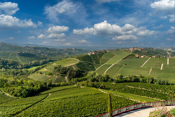 Obraz premium Langhe hills, Piedmont, Italy. Landscape of vineyards between the villages of Serralunga Alba and Costiglione Falletto, a typical Barolo wine area. Blue sky with white clouds