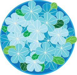 Illustration of Blue Cape leadwort flower on blue circle background.